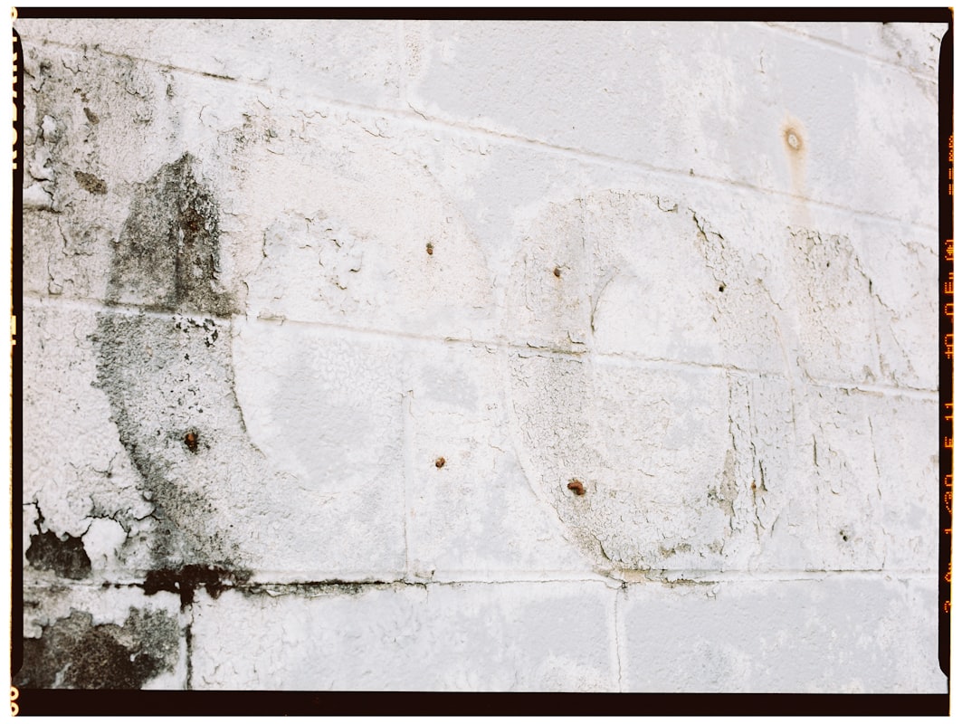 Mold Remediation service in Lexington, KY